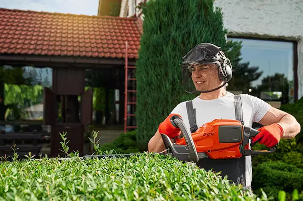 شركة تركيب عشب طبيعي وقص الأشجار بدبي