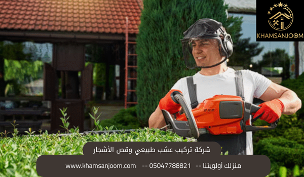 شركة تركيب عشب طبيعي وقص الأشجار